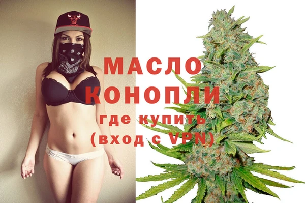 спиды Вяземский