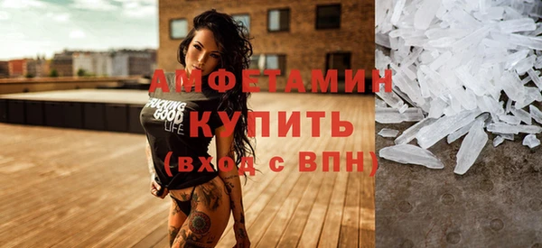 спиды Вяземский