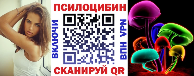 Галлюциногенные грибы Cubensis  shop наркотические препараты  Елизово  мега ССЫЛКА 